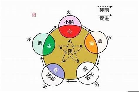 子五行|五行汉字属性查询